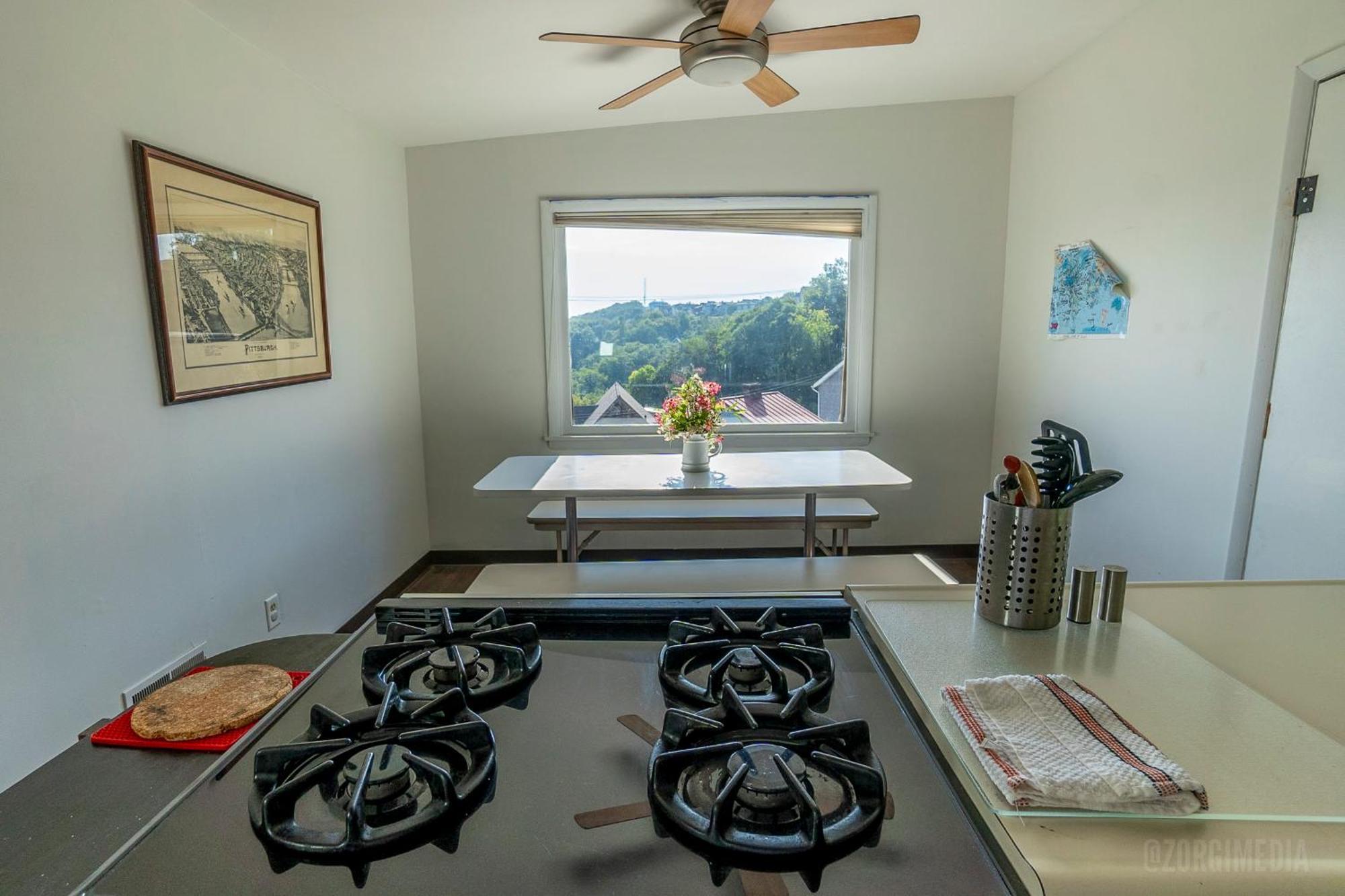 Appartamento The Peak Mt Washington - Large 2Bd Apt W A View Pittsburgh Esterno foto